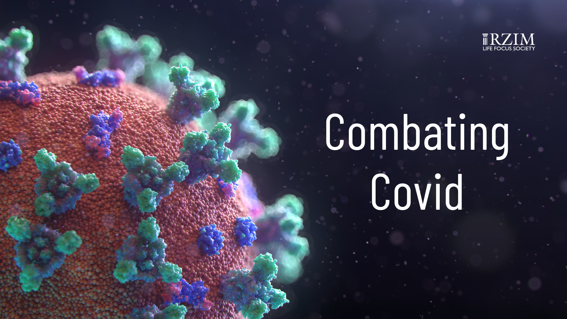 Combating Covid-Web Combating Covid-Web